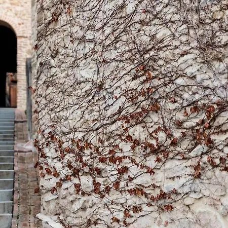 Tatil Evi Torre Di Orlando Castiglione della Valle